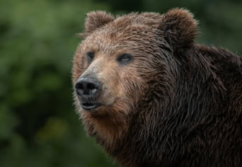 JÓZSEF ATTILA VERSÉRŐL