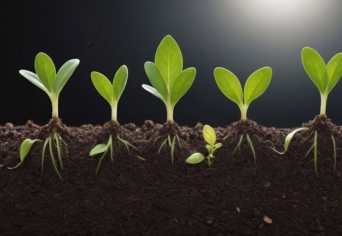 JÉKELY ZOLTÁN VERSÉRŐL