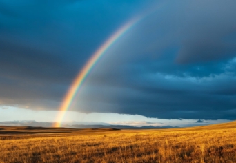 ADY ENDRE VERSÉRŐL