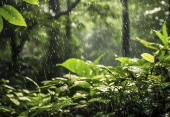 ARANKA GYÖRGY VERSÉRŐL