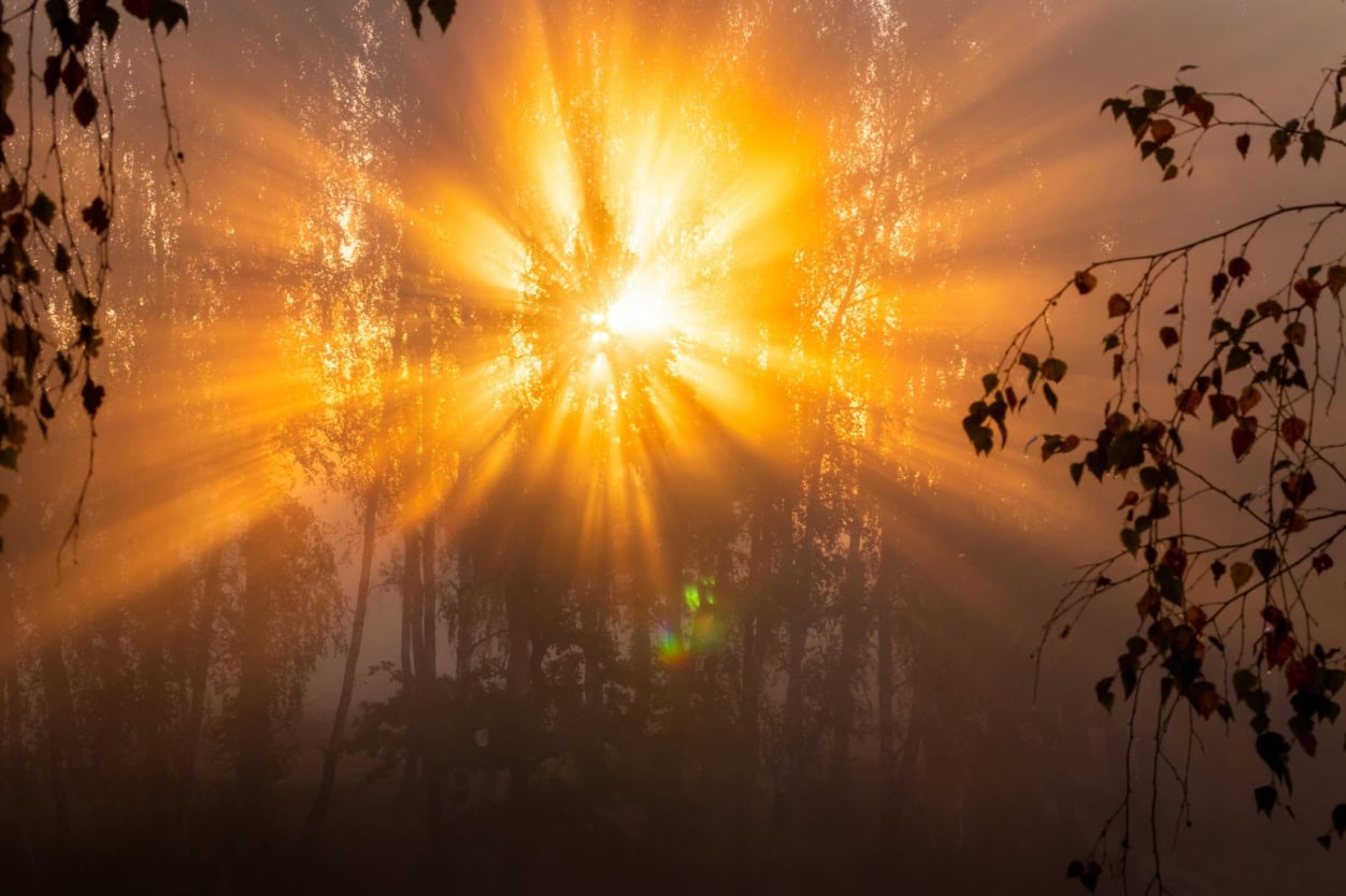 REMÉNYIK SÁNDOR VERSÉRŐL 