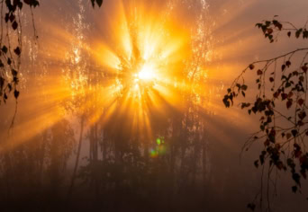 REMÉNYIK SÁNDOR VERSÉRŐL 