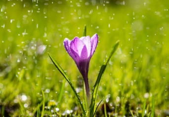 RADNÓTI MIKLÓS VERSÉRŐL