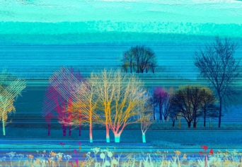 TEREMTŐ SOKFÉLESÉG