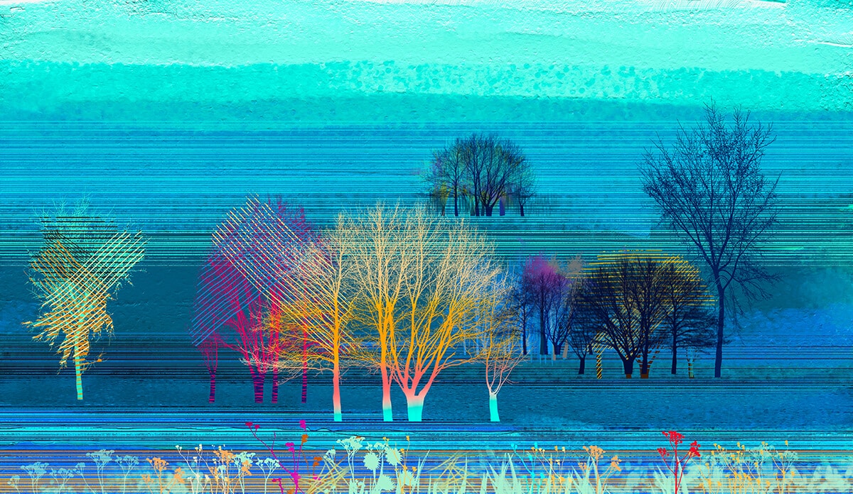 TEREMTŐ SOKFÉLESÉG