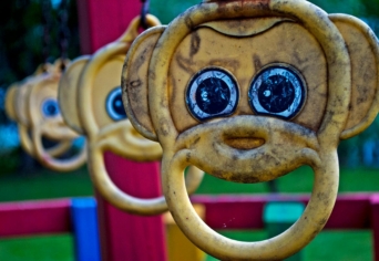 AZ ESŐERDŐK FELGYORSULT PUSZTÍTÁSA