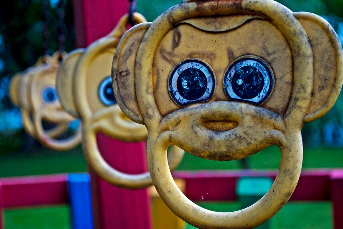 AZ ESŐERDŐK FELGYORSULT PUSZTÍTÁSA