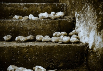 KALANDOZÁSOK A JÁRDASZÉLEN