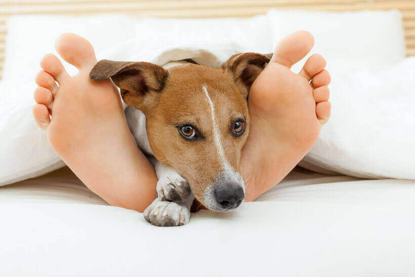 MA HAJNALTÓL TEGNAP HAJNALIG