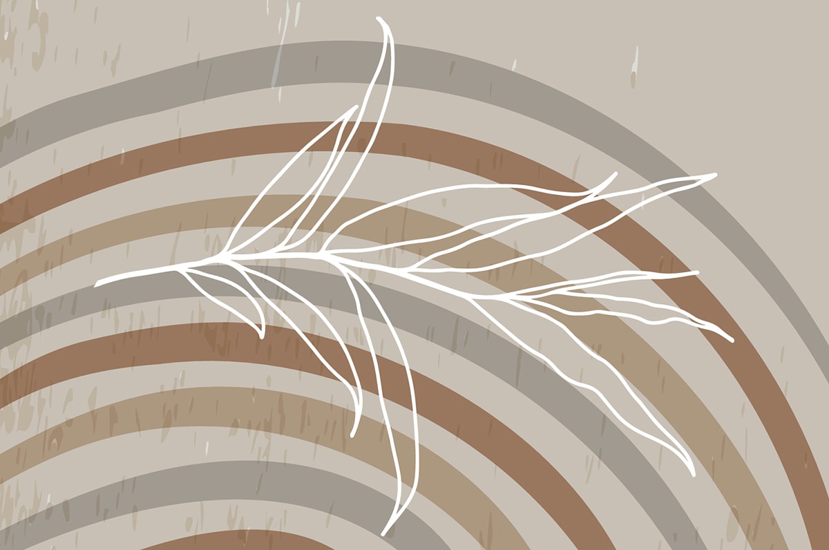 TALÁN A HUMÁNÖKOLÓGIA?