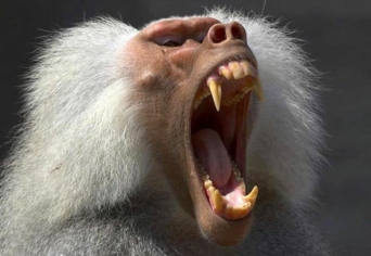 NAGYSZERŰ DOLGOK TÖRTÉNNEK AZ EMBERREL