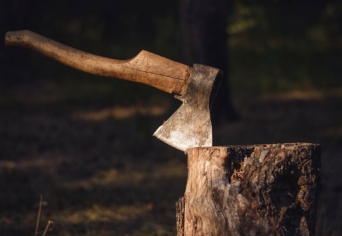 ÖNKÉNTES SZÁMŰZETÉS