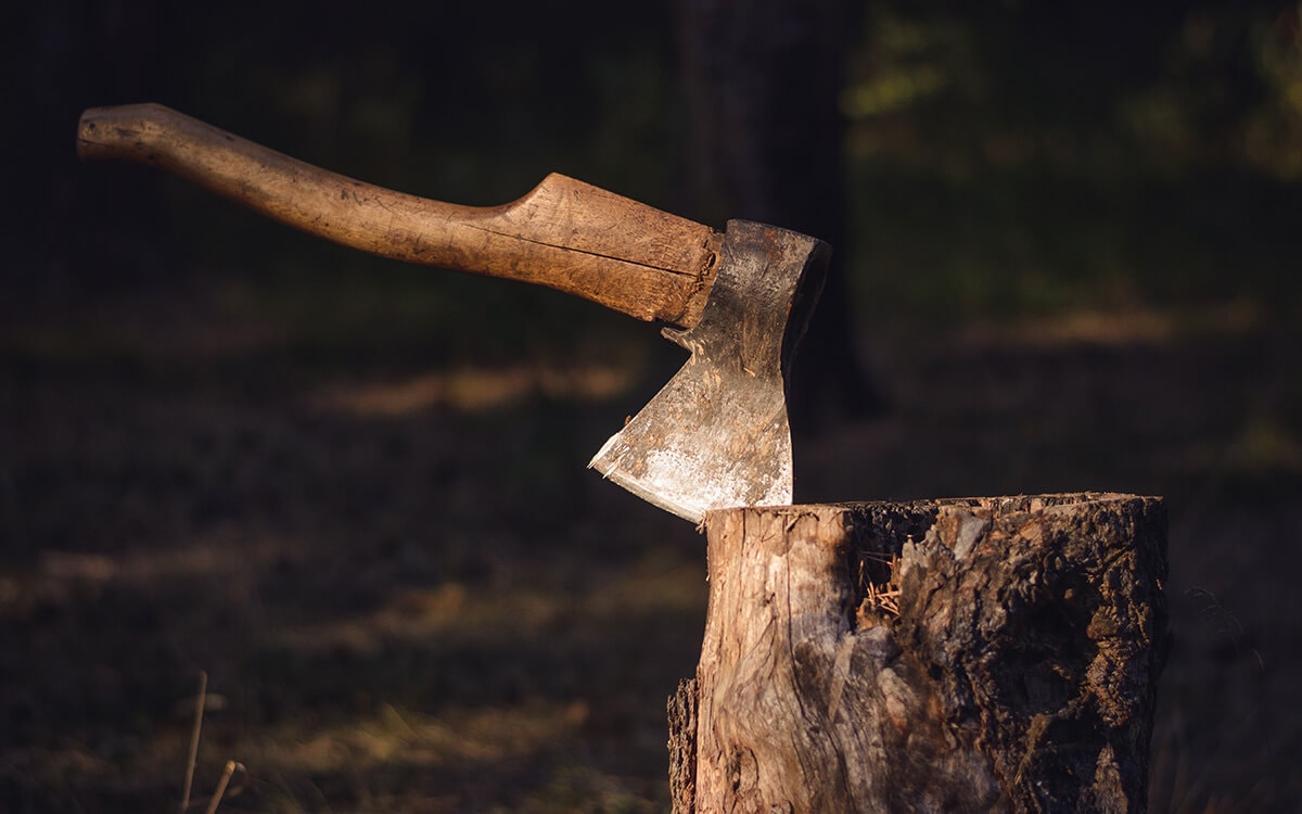 ÖNKÉNTES SZÁMŰZETÉS