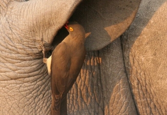 MIT MONDHATTAM AKKOR?