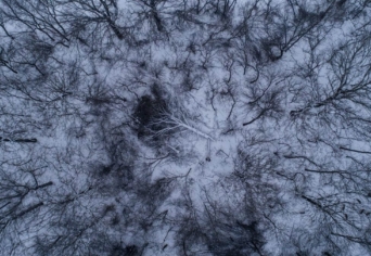 LADY MACBETH ÉL – SZÖVEGFORRÁSOK ÉS FORRÁSSZÖVEGEK