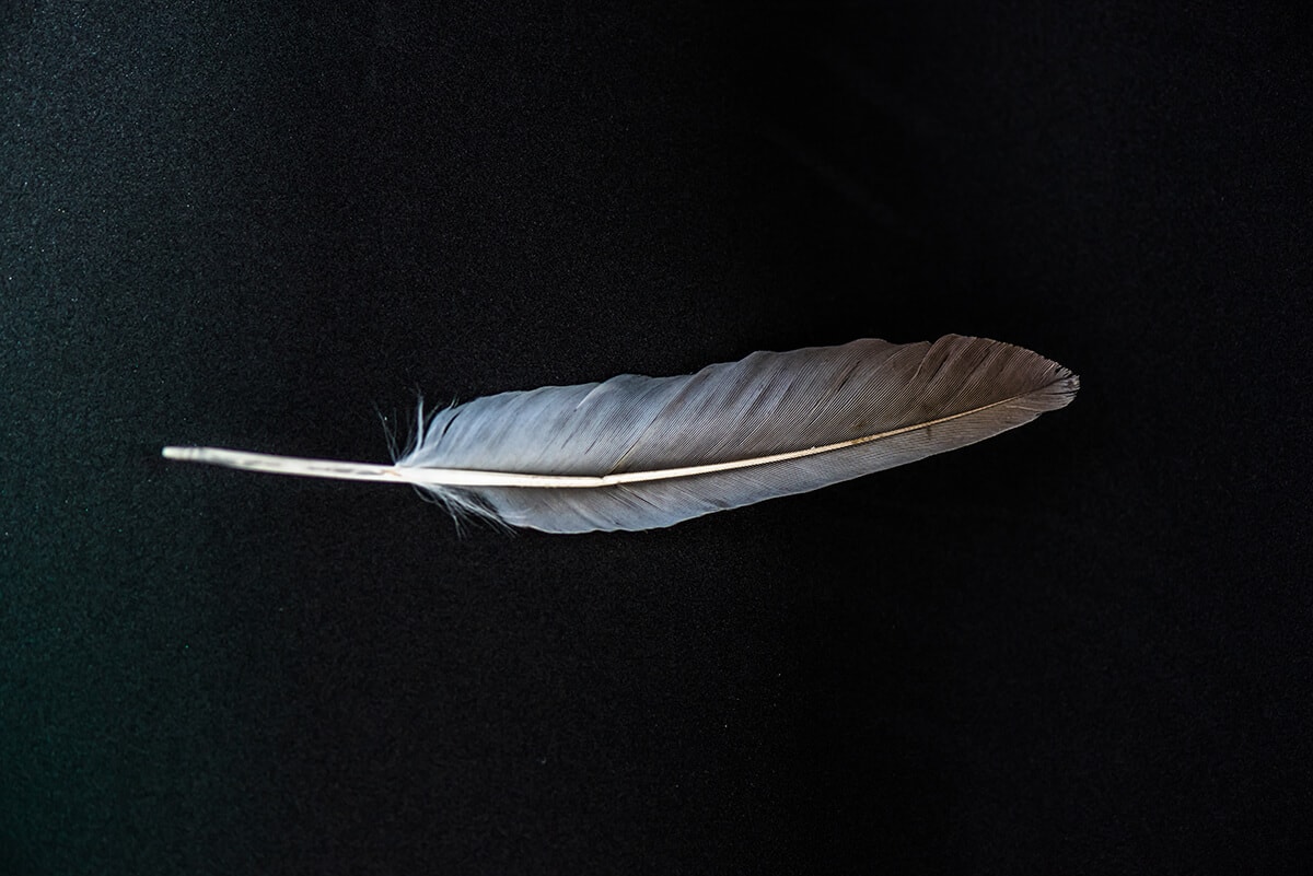 TŰZBŐL MENTETT … FOGPISZKÁLÓ