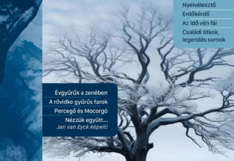 Új OLDALON REPÜL A TÉLI SZITAKÖTŐ