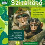 MEGJELENT A TAVASZI SZITAKÖTŐ
