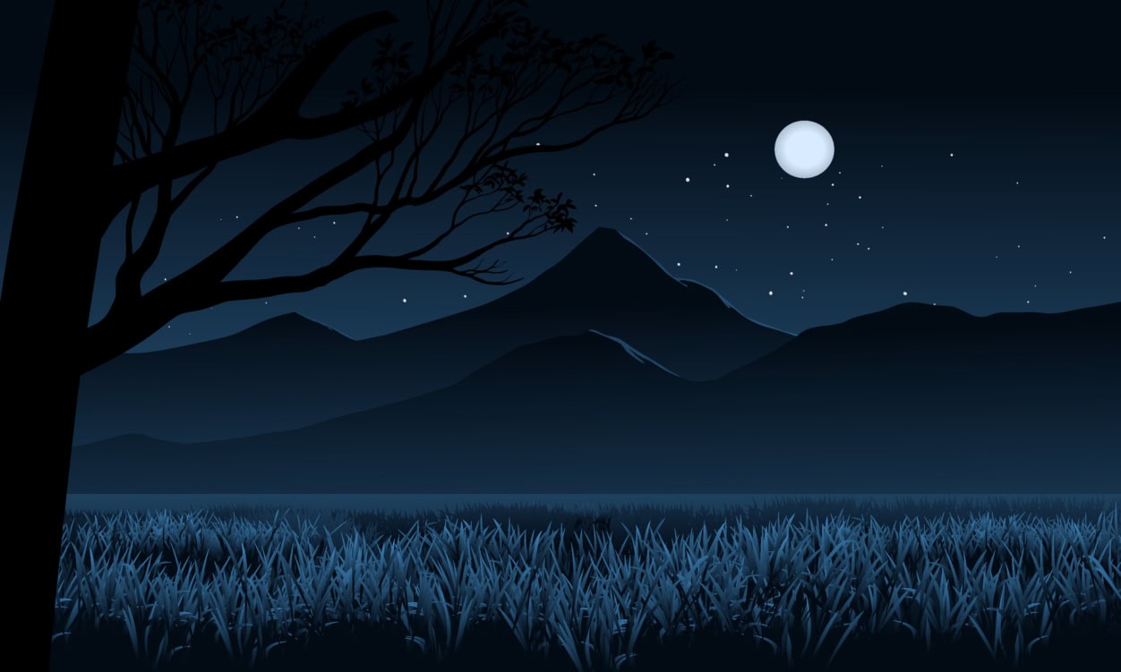 NOCTURNE