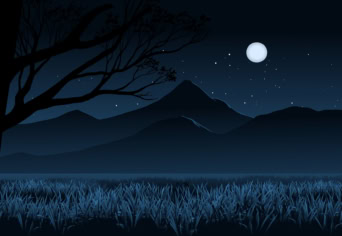 NOCTURNE