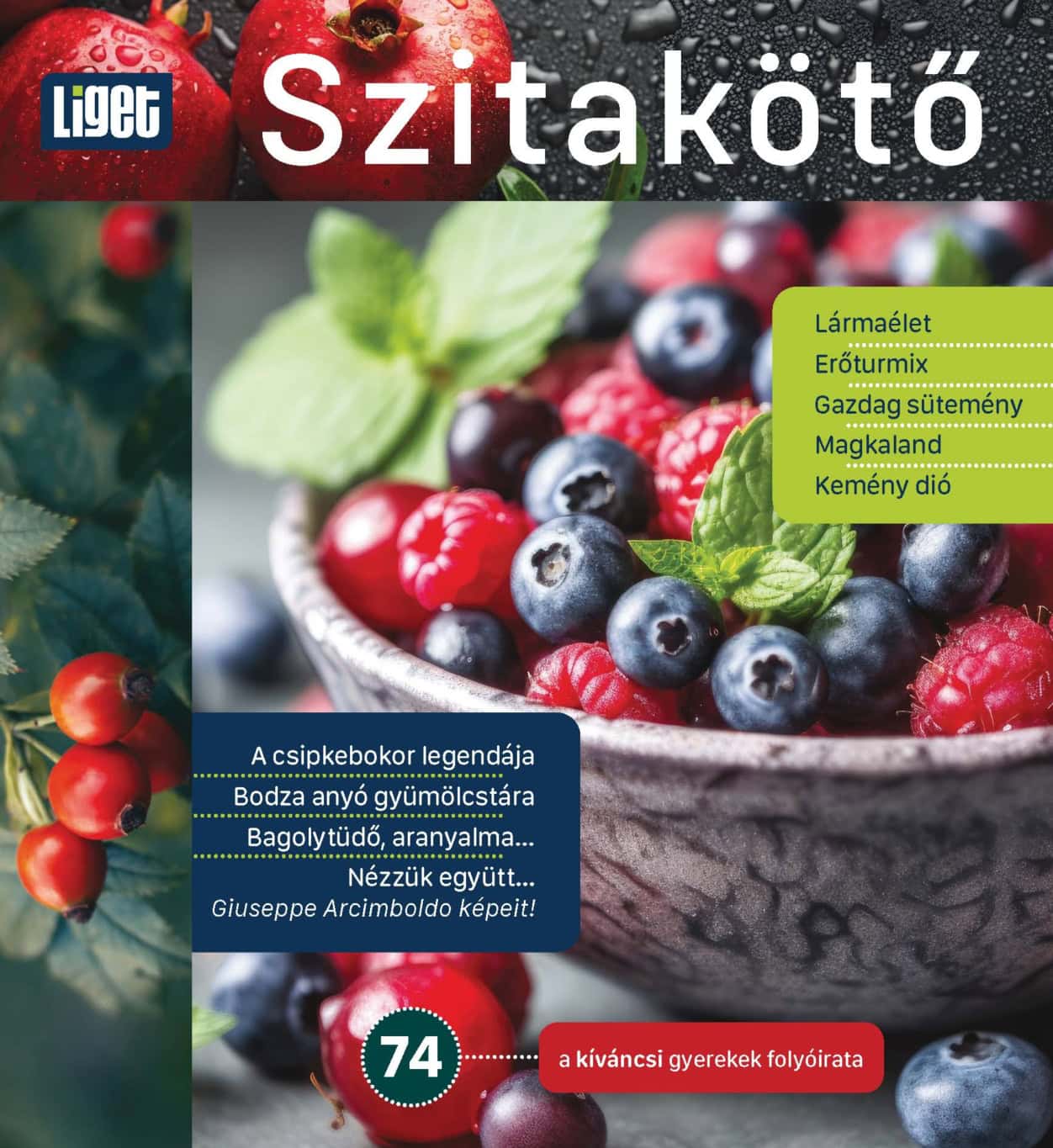 MEGJELENT A NYÁRI SZITAKÖTŐ (2026-2)