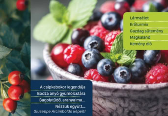 MEGJELENT A NYÁRI SZITAKÖTŐ (2026-2)