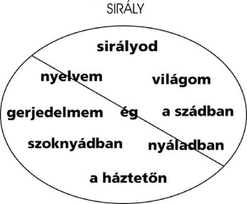 Papp Tibor Logo–Sirály, irodalmijelen.hu