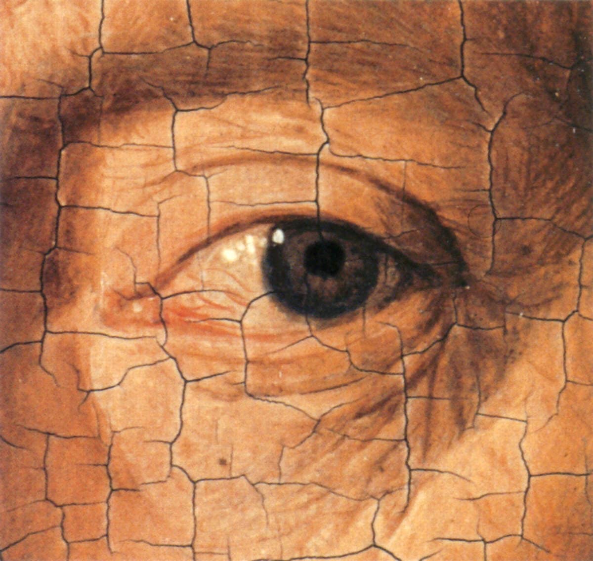 portrait of a man by jan van eyck detail